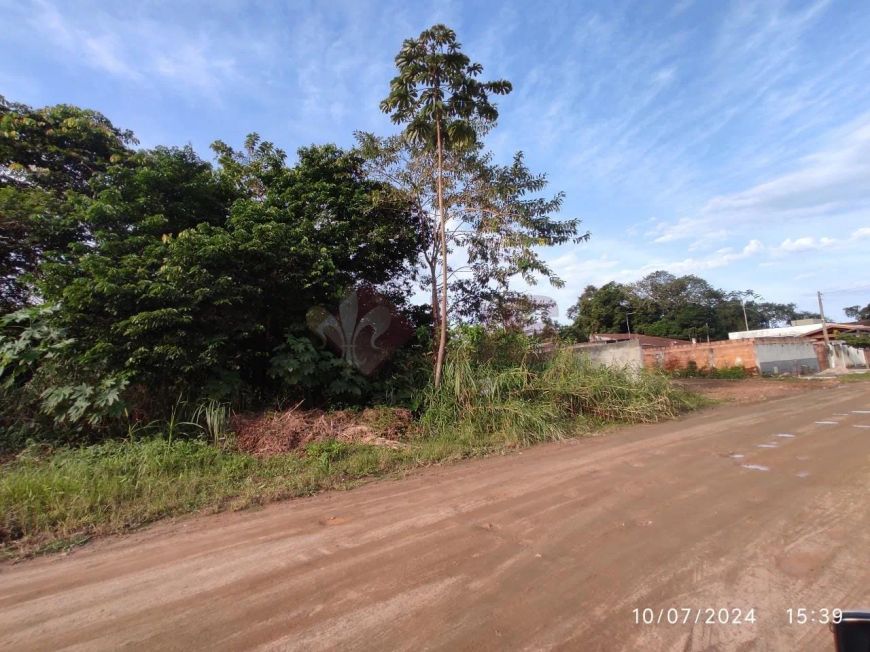 Terreno à venda 372M², Massaguaçu, Caraguatatuba - SP