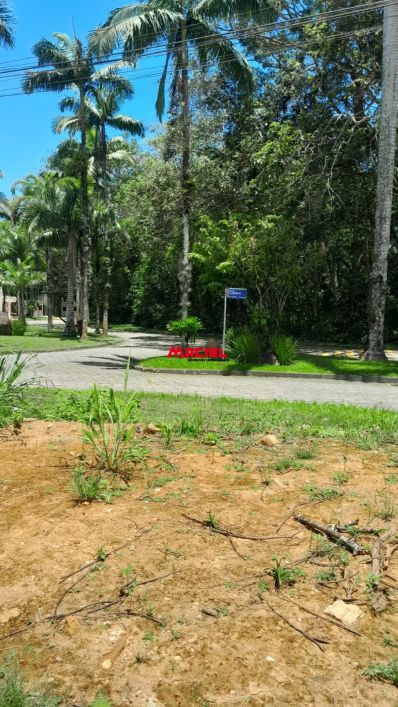 Terreno Condomínio Park Imperial à Venda Caraguatatuba Massaguaçú