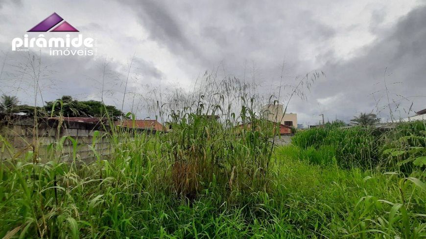Terreno à venda, 250 m² por R$ 200.000 - Pontal de Santa Marina - Caraguatatuba/SP
