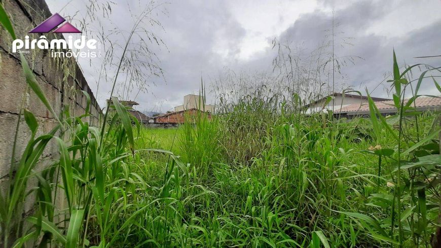 Terreno à venda, 250 m² por R$ 200.000 - Pontal de Santa Marina - Caraguatatuba/SP