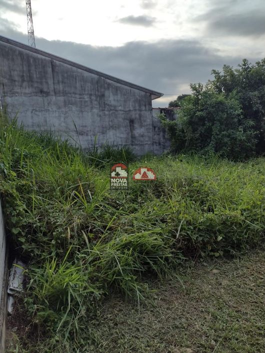 Terreno Padrão em Caraguatatuba