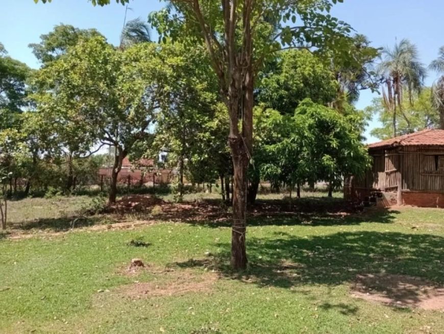 Área - Av. Monteiro Lobato - Senador Canedo