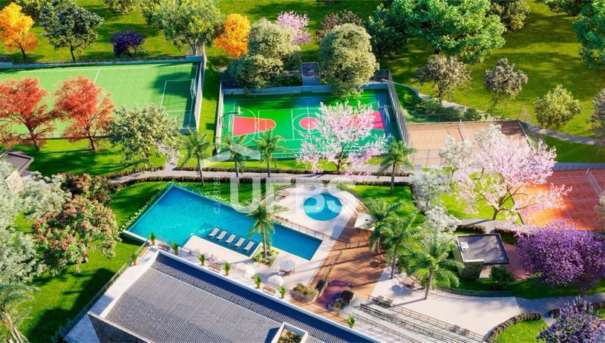 Lote no Vinhas Flamboyant