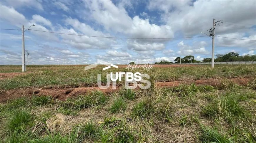Lote no Vinhas Flamboyant