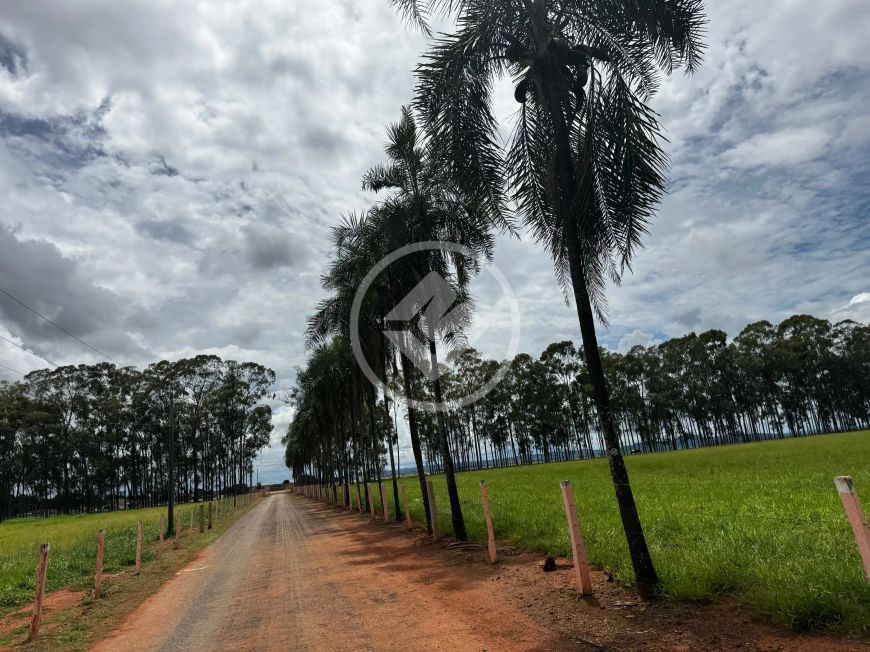 FAZENDA 62 ALQUEIRES SENADOR CANEDO codigo: 100648