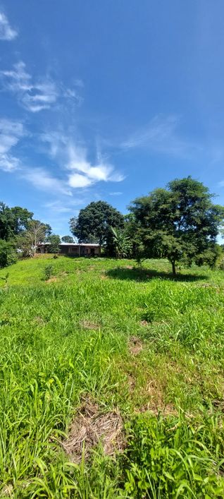 Fazenda/Sítio/Chácara para venda possui 320 metros quadrados com 3 quartos