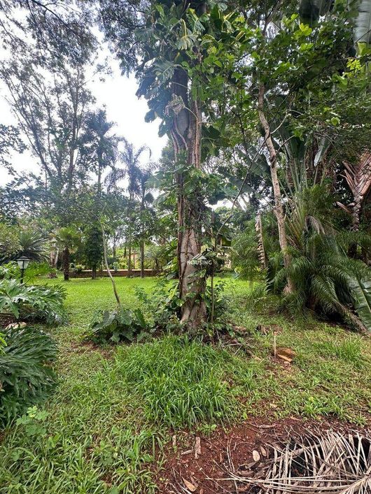 Chácara com 3 dormitórios à venda, 10970 m² por R$ 1.650.000,00 - Estância Vargem Bonita - Senador C