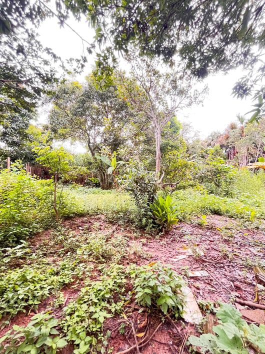 Chácara Jardim Canedo II 1.464m²