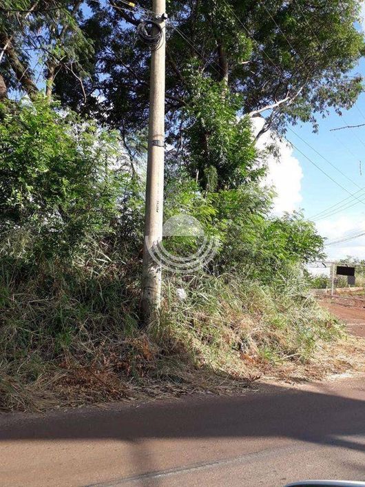 Terreno à venda, 5570 m² por R$ 2.785.000,00 - Jardim Ypê - Paulínia/SP