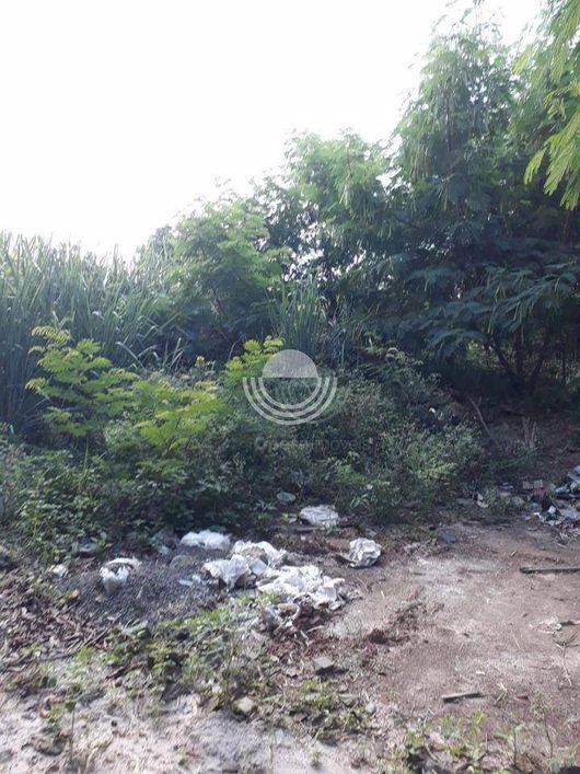 Terreno à venda, 5570 m² por R$ 2.785.000,00 - Jardim Ypê - Paulínia/SP
