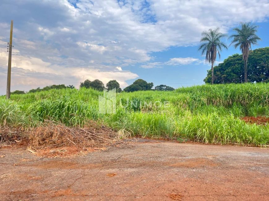 área - Betel - Paulínia