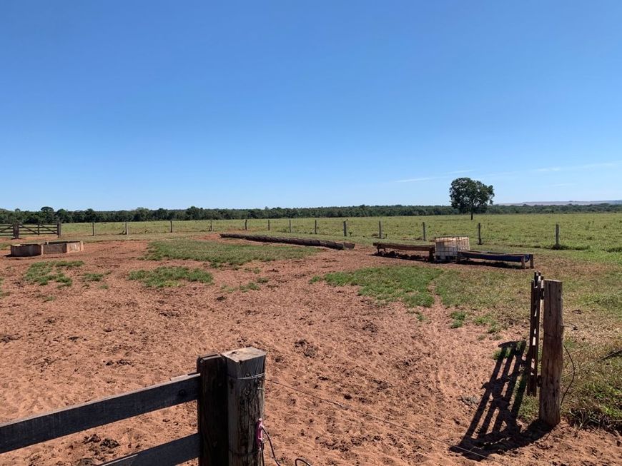Área 55 Mil m2, Ideal Para Condomínio Logístico ou Industrias, Rico em Água com Lago, Casa Sede Simp