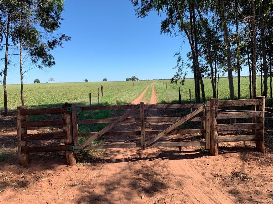 Área 55 Mil m2, Ideal Para Condomínio Logístico ou Industrias, Rico em Água com Lago, Casa Sede Simp