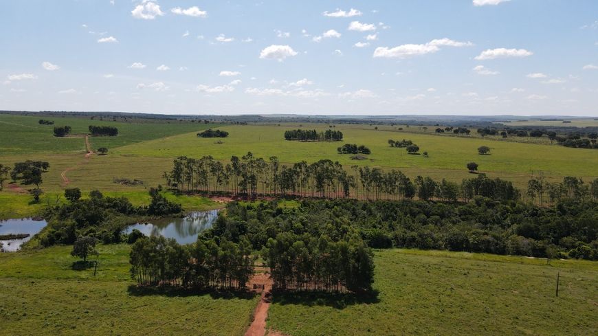 Área 55 Mil m2, Ideal Para Condomínio Logístico ou Industrias, Rico em Água com Lago, Casa Sede Simp