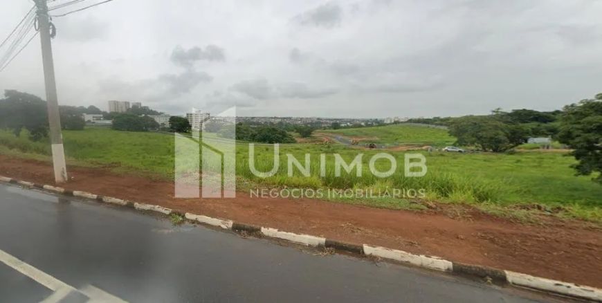 área - Nossa Senhora Aparecida - Paulínia