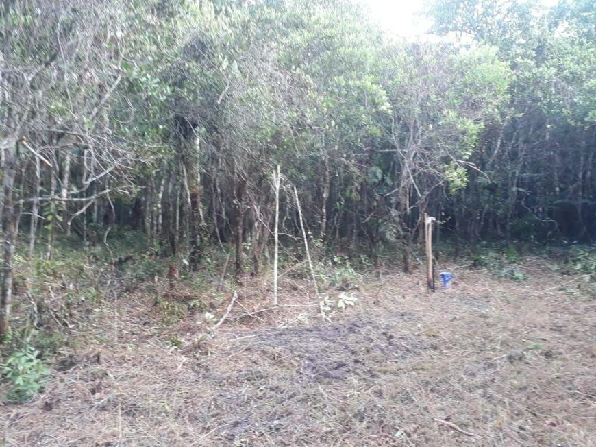 Imóvel para venda possui 1107 metros quadrados em Jardim Bopiranga - Itanhaém - SP