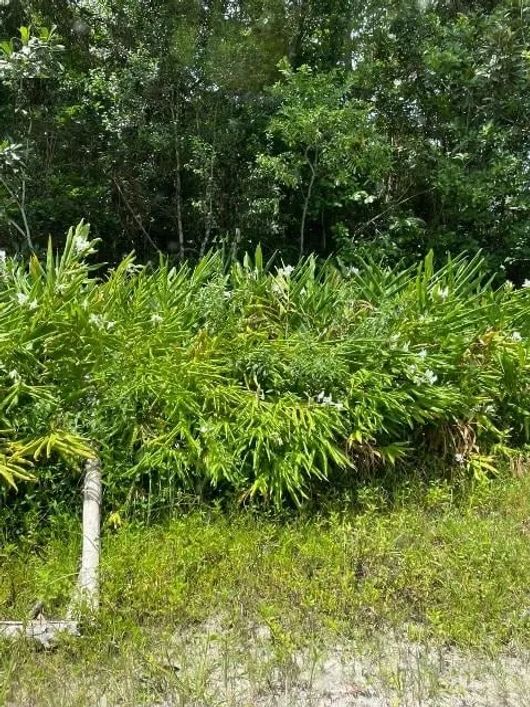 Terreno para venda com 2383 metros quadrados em São Fernando - Itanhaém - SP