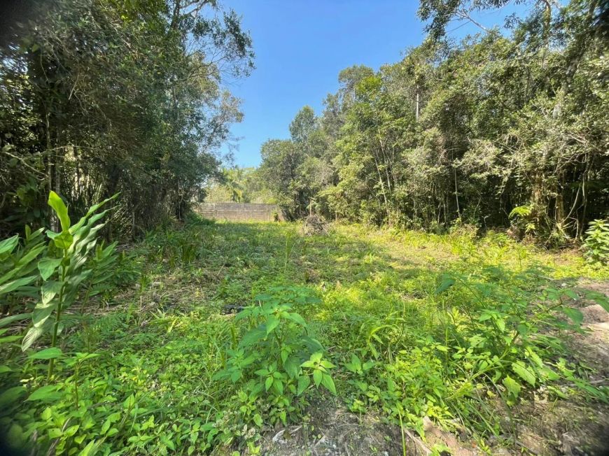 Terreno para venda tem 363 metros quadrados em Jardim Maramba - Itanhaém - SP