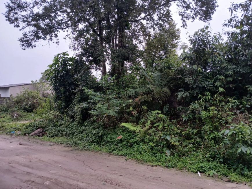 Terreno para venda possui 250 metros quadrados em Jardim Coronel - Itanhaém - SP