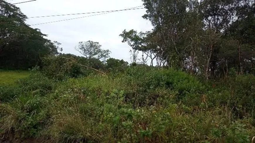 Terreno para venda possui 1200 metros quadrados em Bopiranga - Itanhaém - SP
