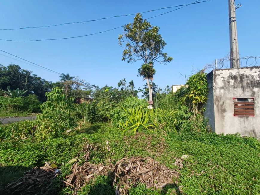 🌟 Terreno à Venda – Bairro Oásis, Itanhaém/SP 🌟