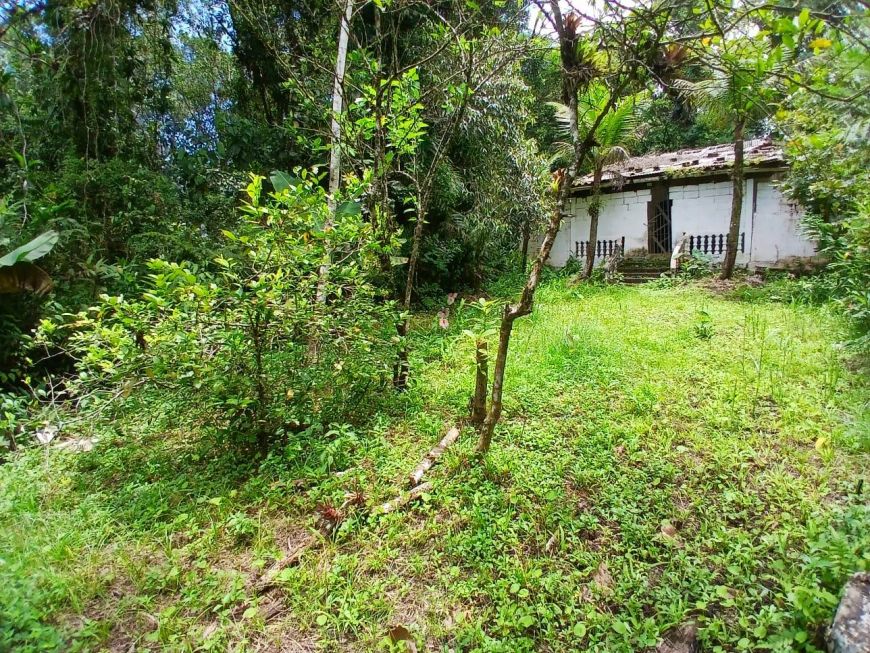 Terreno para venda possui 280 metros quadrados em Jardim Coronel - Itanhaém - SP