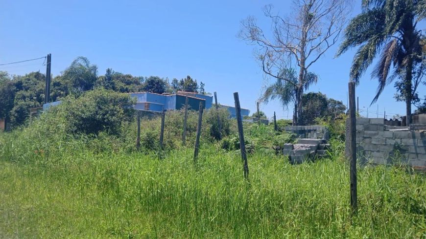 Terreno para Venda no bairro Palmeiras, Itanhaém-SP