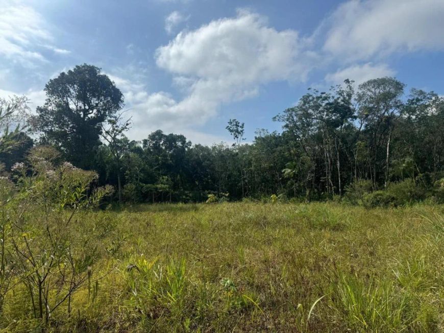 Terreno para Venda em Itanhaém, Palmeiras