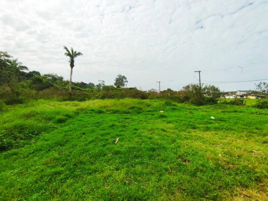 Terreno para venda tem 5190 metros quadrados em Balneário Gaivota - Itanhaém - SP