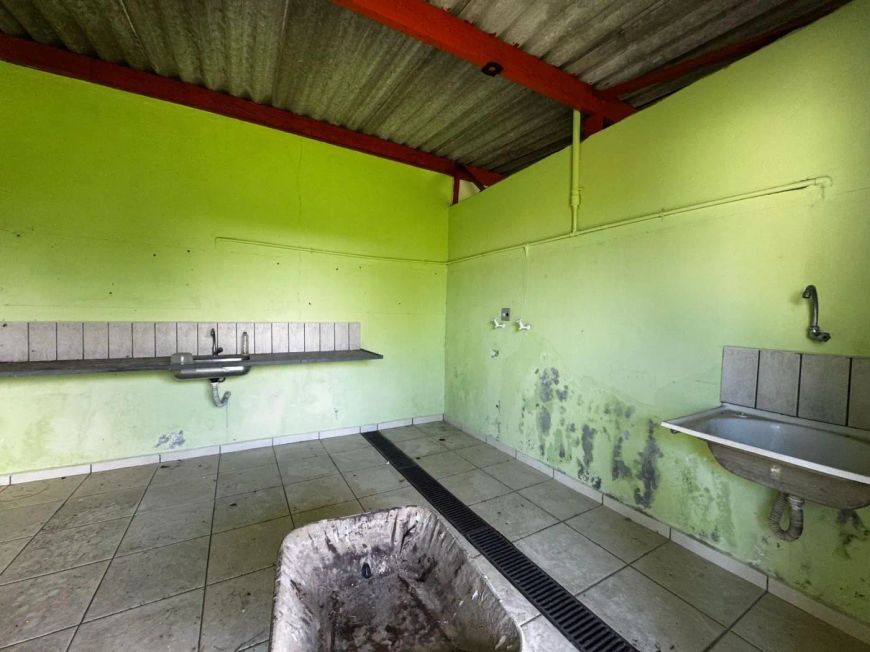 Casa para Venda, REGINA, 3 dormitórios, 3 suítes, 2 banheiros, 8 vagas