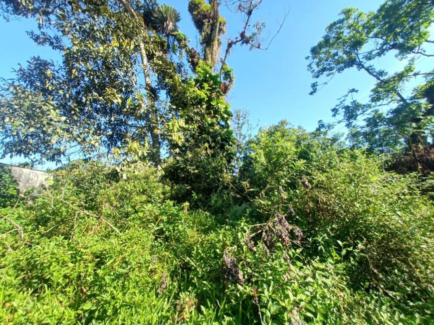 Terreno para Venda no bairro Coronel, localizado na cidade de Itanhaém / SP.