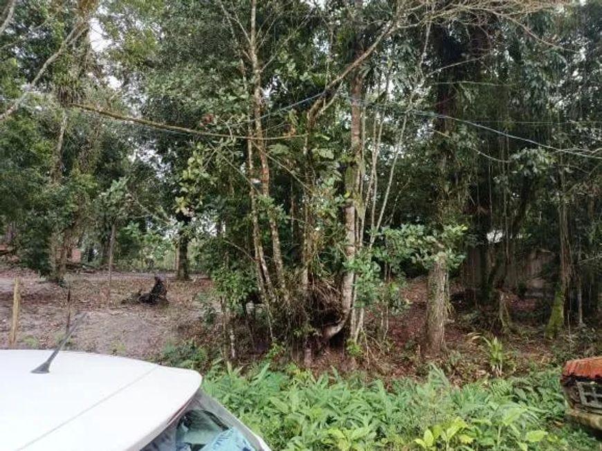 Terreno para venda tem 280 metros quadrados em Jardim Coronel - Itanhaém - SP