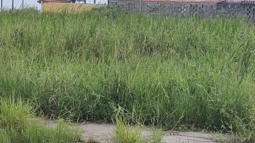 Lote/Terreno para venda tem 2703 metros quadrados em Cibratel II - Itanhaém - SP