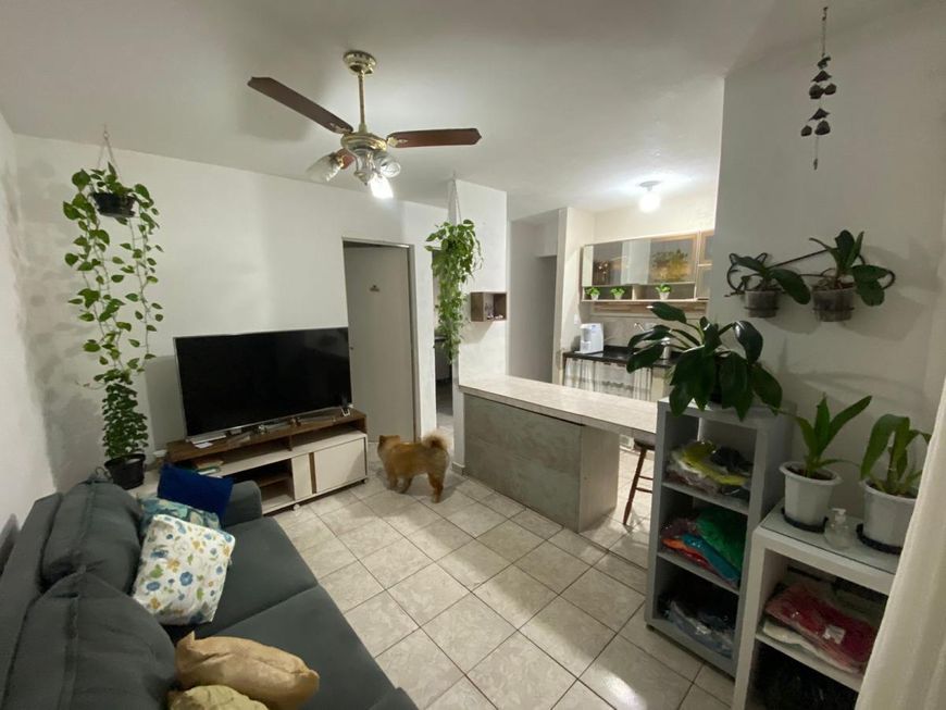 Apartamento para venda possui 51 metros quadrados com 2 quartos em Guapiranga - Itanhaém - SP