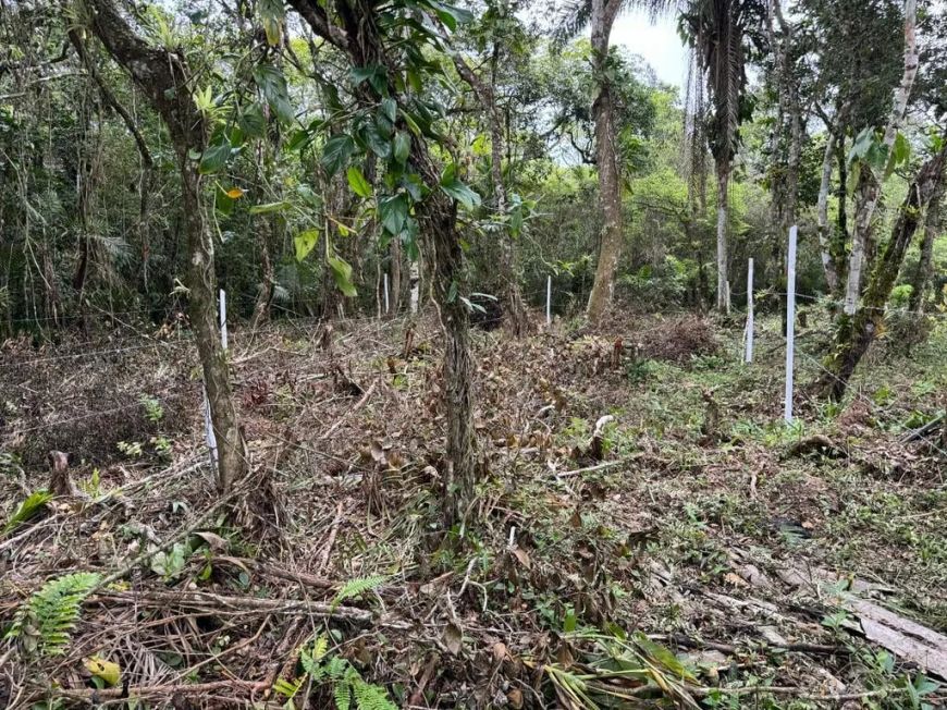 Invista em Itanhaém - Terreno Disponível em Localização Privilegiada!