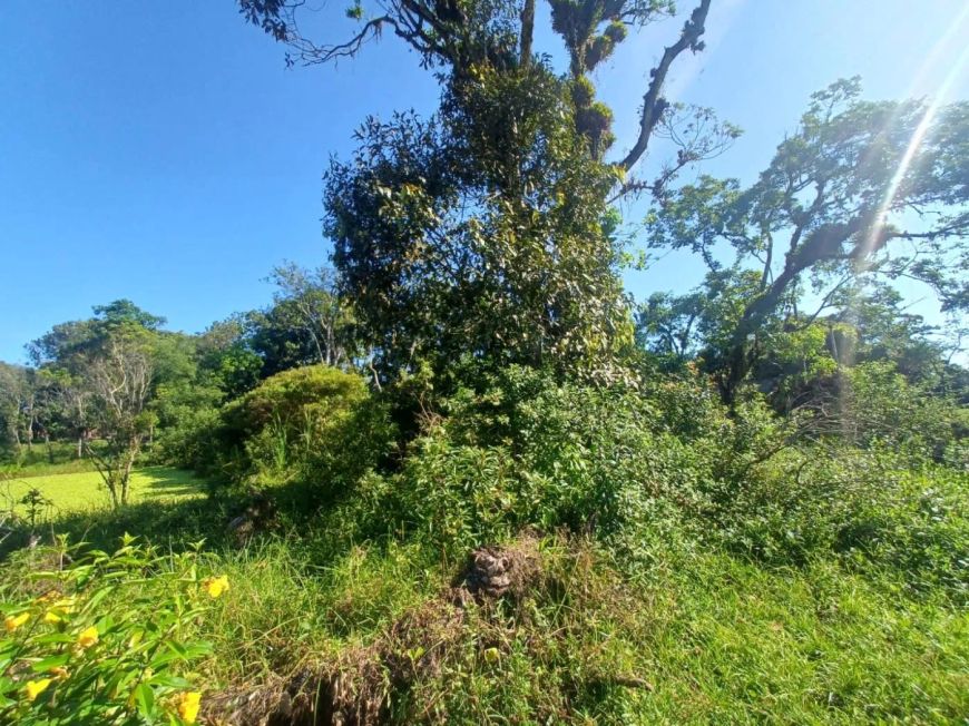 TERRENO À VENDA NO BAIRRO JARDIM CORONEL EM ITANHAÉM/SP