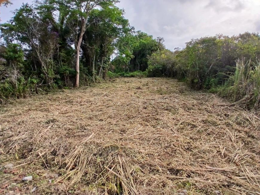 Terreno para Venda em Itanhaém, Jardim Fenix