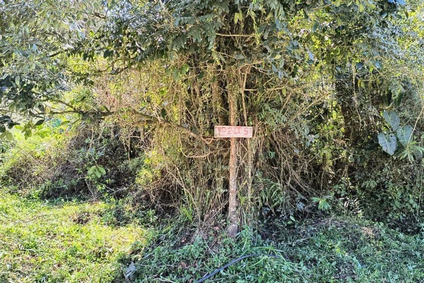 Terreno para Venda em Itanhaém, Chácaras Palmeiras