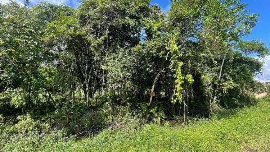 Terreno Lado Praia Escriturado no Jardim Palmeiras em Itanhaém - 9657
