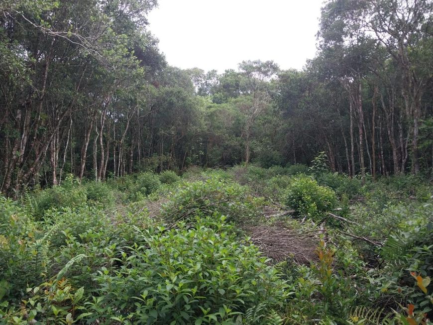 Terreno para venda possui 415 metros quadrados em Balneário Gaivota - Itanhaém - SP