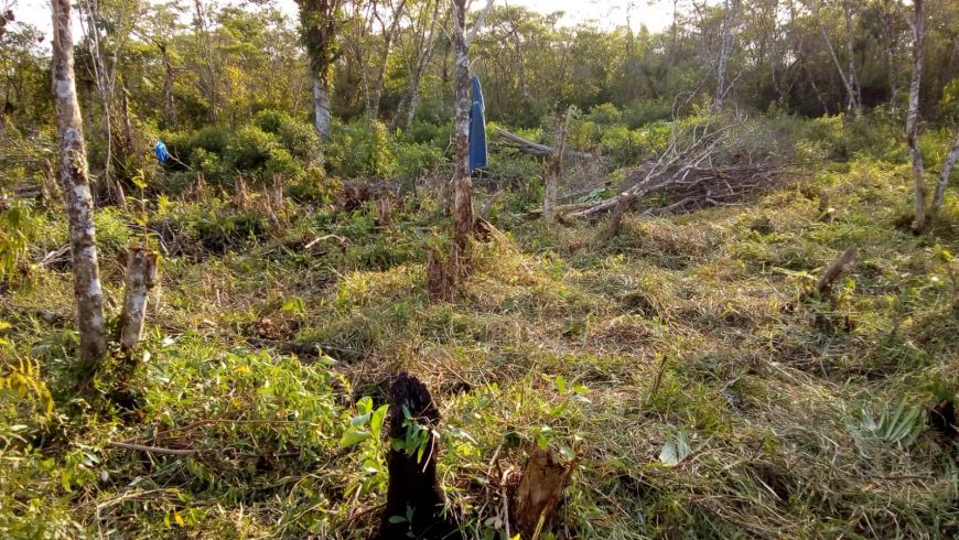 Terreno à venda em Itanhaém