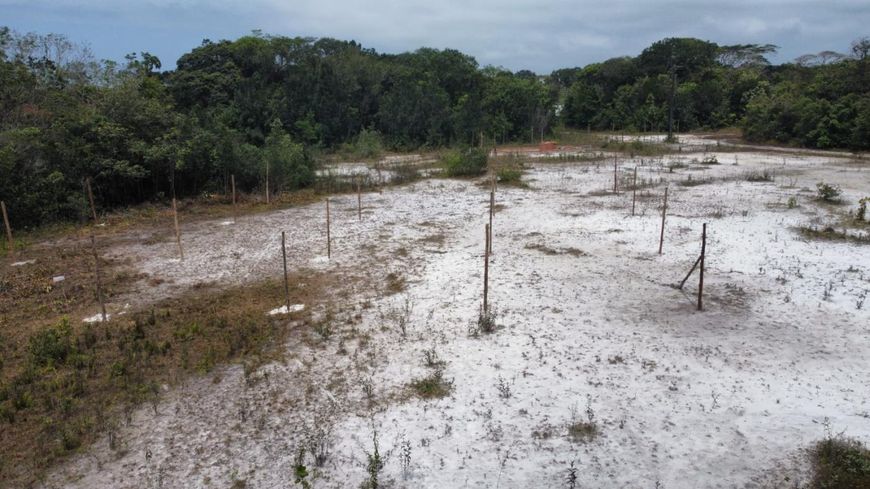 Lote/Terreno para venda possui 176 metros quadrados em Jardim Regina - Itanhaém - SP