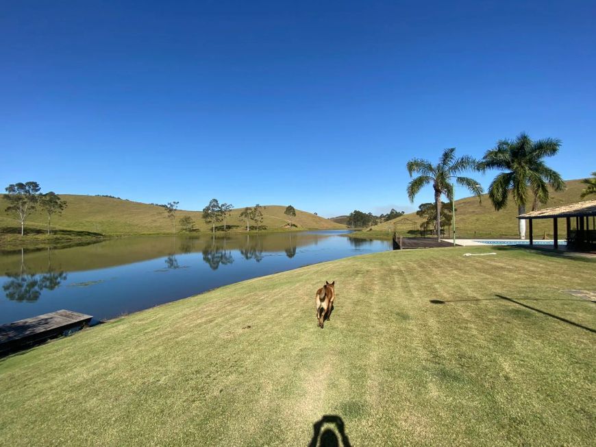 Fazenda com 65 Alqueires , com lago e 2 sedes -mangueiro - formada .