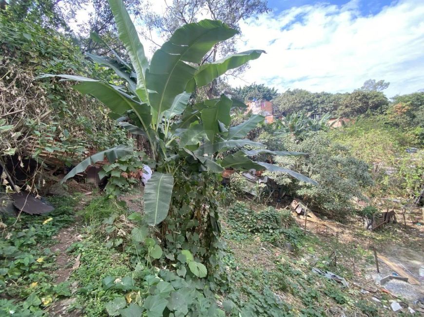 Terreno para Venda em São Paulo, Vila Andrade