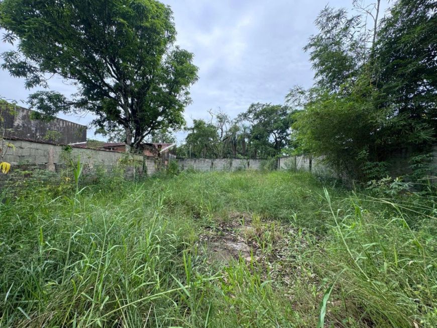 Terreno para venda possui 312 metros quadrados em Jardim Palmeiras - Itanhaém - SP
