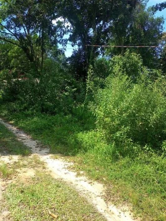 Terreno á Venda no Coronel em Itanhaém/SP