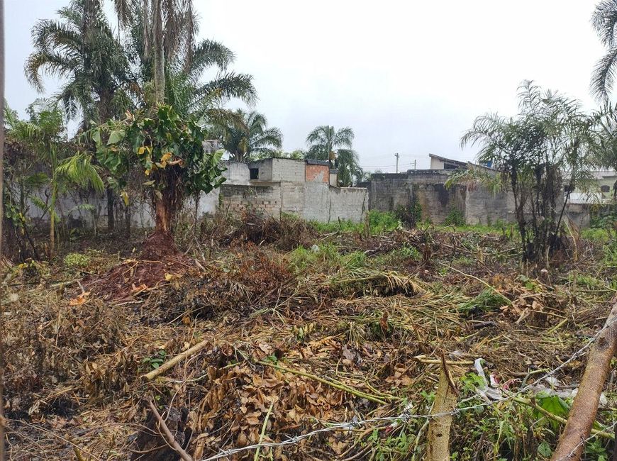 Lote/Terreno para venda com 332 metros quadrados em Jardim Palmeiras - Itanhaém - SP