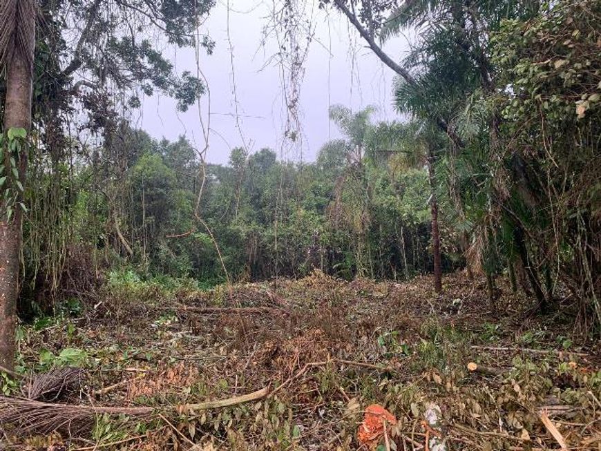 TERRENO NO BAIRRO LUIZAMAR MIRIM , EM ITANHAÉM , LITORAL SUL DE SÃO PAULO !