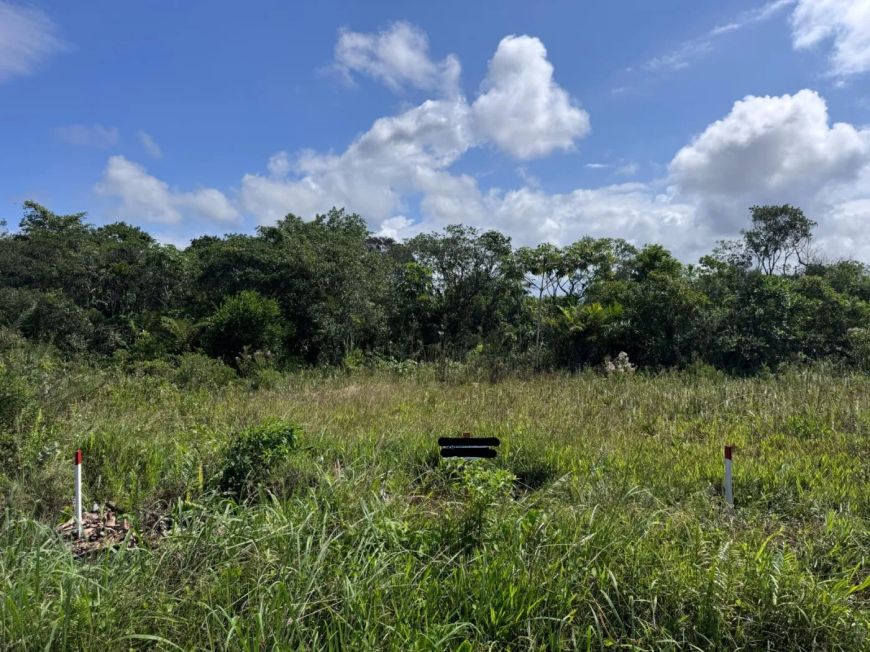 Terreno para Venda em Itanhaém, Tupy