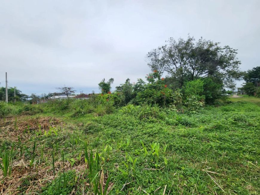 Terreno para Venda em Itanhaém, Luizamar Mirim
